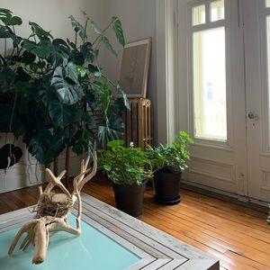 Meet your Posher, Gabriel